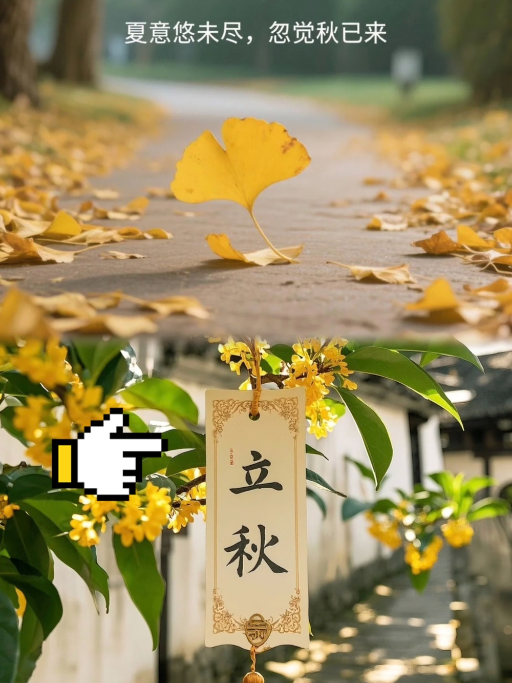 第305页